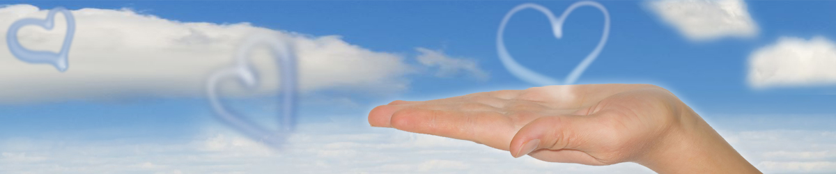 Charity and Association Travel